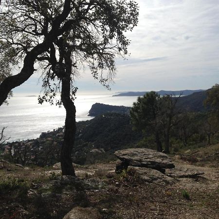 Chemin De La Roseraie Cavalaire-sur-Mer Eksteriør bilde